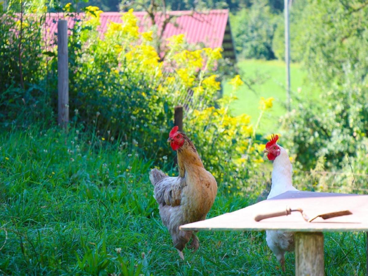 Ferienwohnungen Berger Scheidegg Dış mekan fotoğraf